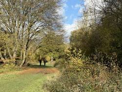 Hatfield Forest